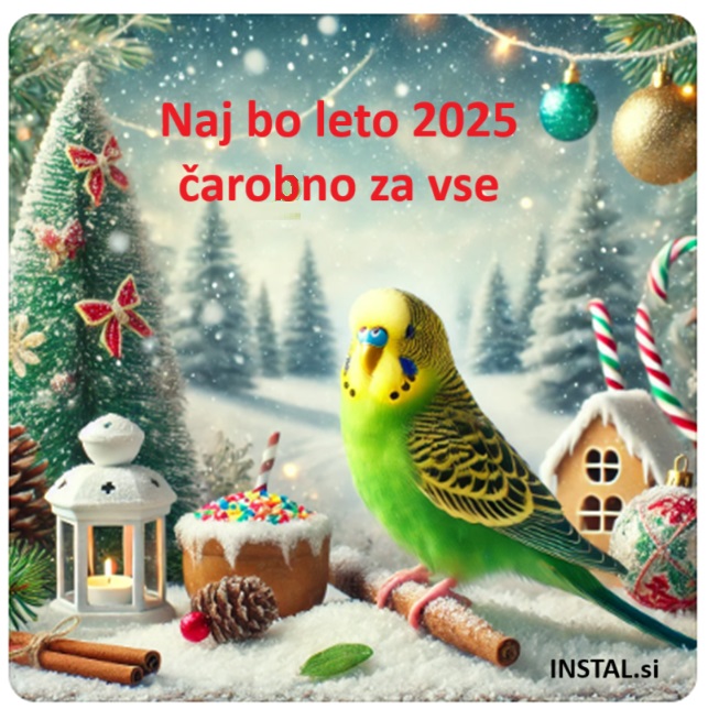 srečno 2025