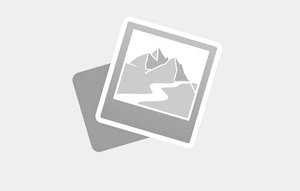 Slika trenutno ni na voljo!