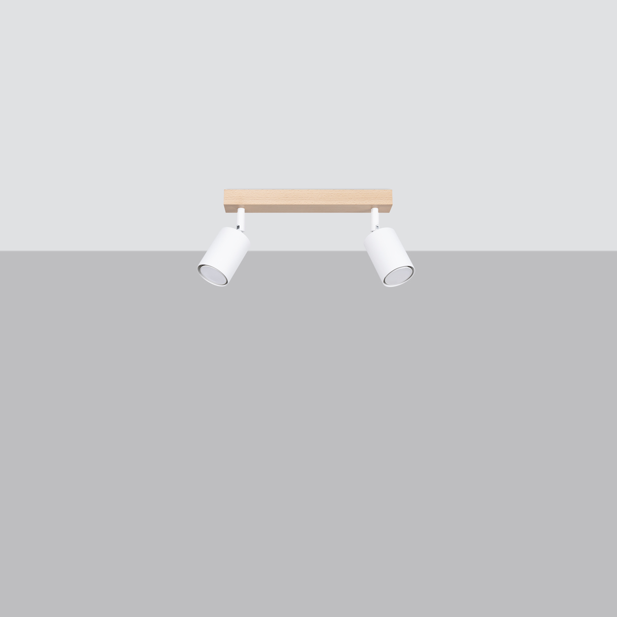 Stropna svetilka VERDO 2 bela