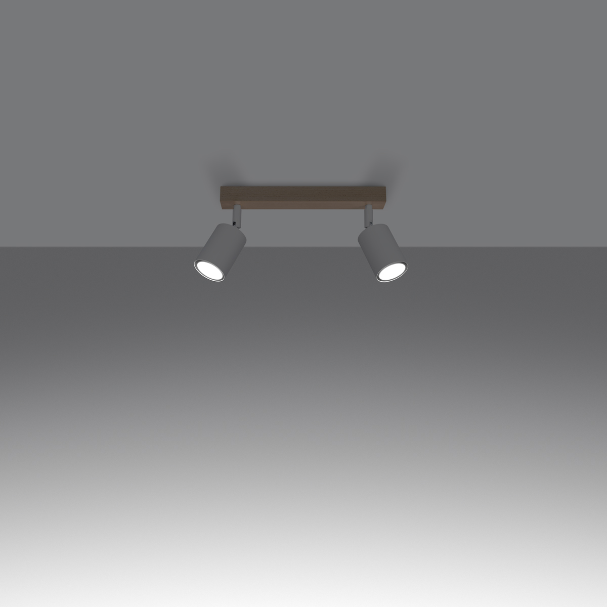 Stropna svetilka VERDO 2 bela