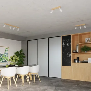 Stropna svetilka VERDO 2 bela