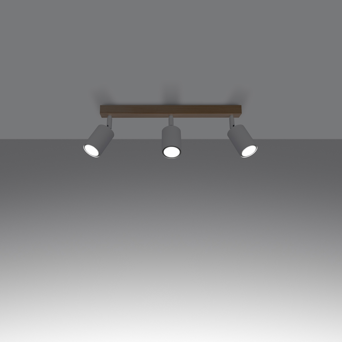 Stropna svetilka VERDO 3L bela