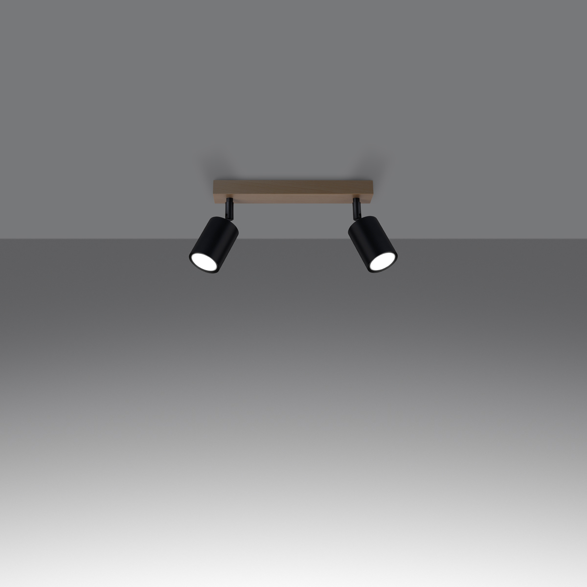 Stropna svetilka VERDO 2 črna