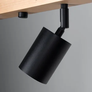 Stropna svetilka VERDO 4 črna