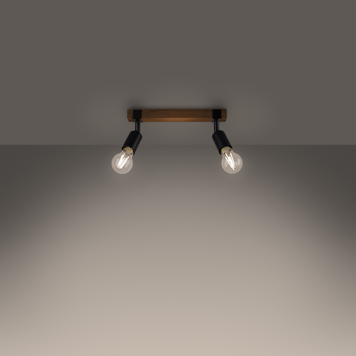 Stropna svetilka ZUCA 2 črna