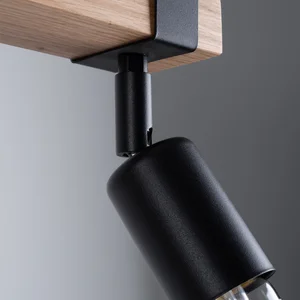 Stropna svetilka ZUCA 2 črna