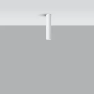 Stropna svetilka LAGOS 30 bela