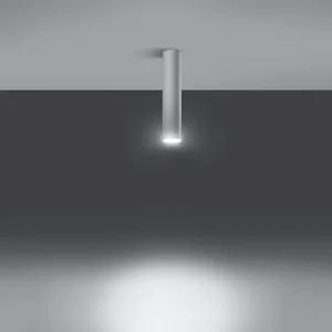 Stropna svetilka LAGOS 30 bela