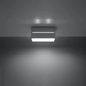 Stropna svetilka LOBO 2 siva (20x10x10cm)