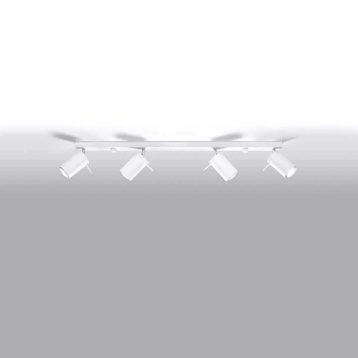 Stropna svetilka RING 4L bela (80x6x16cm)