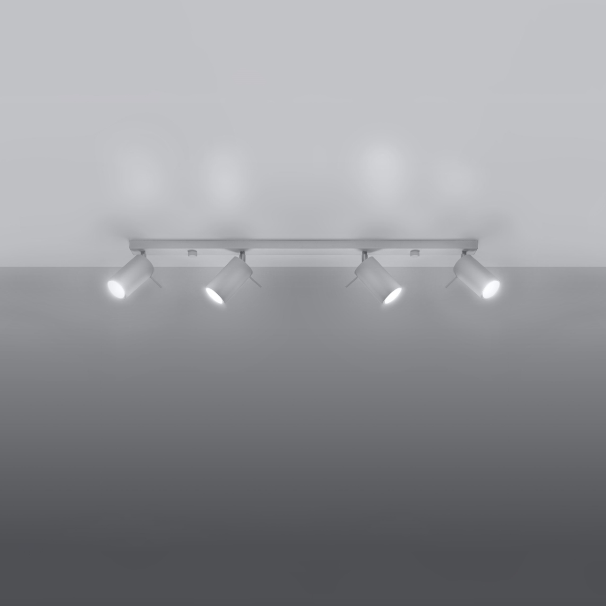 Stropna svetilka RING 4L bela (80x6x16cm)