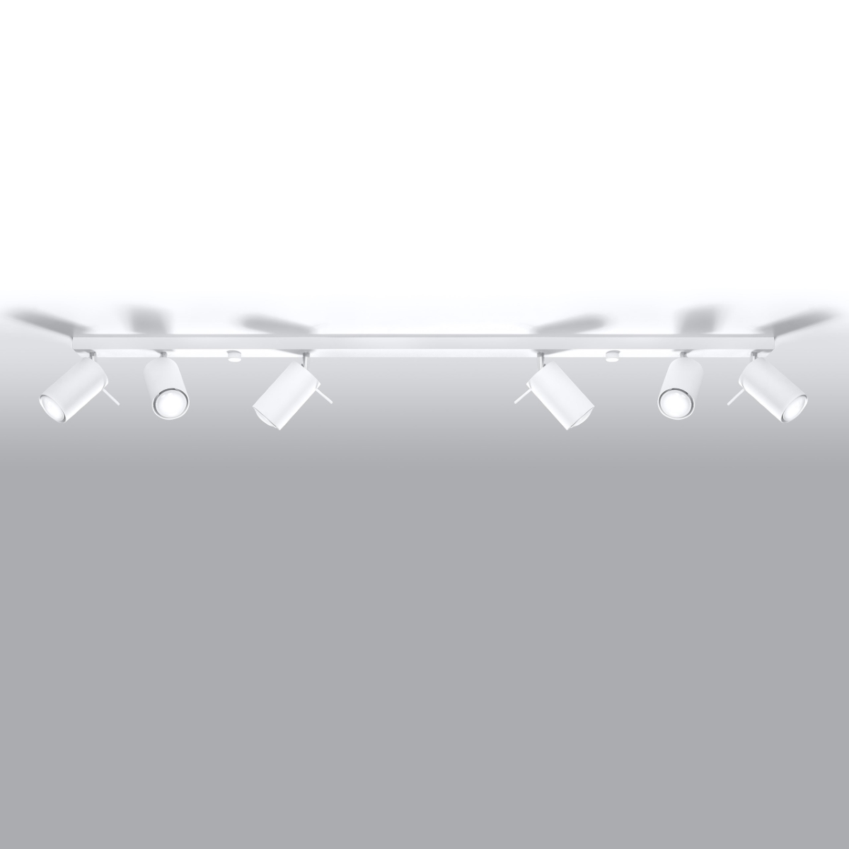 Stropna svetilka RING 6L bela (118x6x16cm)