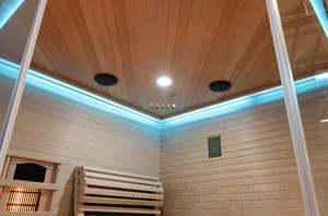 Sanotechnik CARBON 3 Infrardeča kabina za 2 osebi 150x150x195 cm