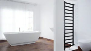 Simple DW - Terma radiator (ZX)