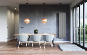 Radiator Terma Delfin (ZX SilverMatt)